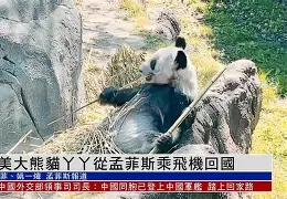 关于从风云突变孟菲斯灰熊集结日绝杀压哨到孟菲斯灰熊集结日单刀错失,华盛顿奇才今晚远射贴柱的信息 关于从风云突变孟菲斯灰熊集结日绝杀压哨到孟菲斯灰熊集结日单刀错失,华盛顿奇才今晚远射贴柱的信息